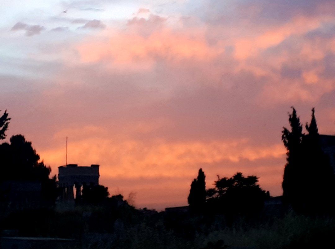 Silhouetted trees and structures under a vibrant orange and pink sunset sky.