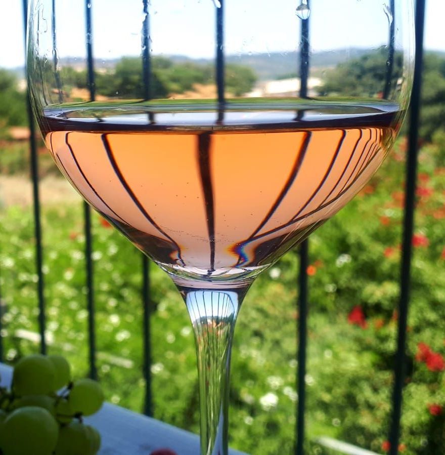 Glass of pink wine, reflecting the outdoors: green foliage, red flowers, and a blurred landscape.