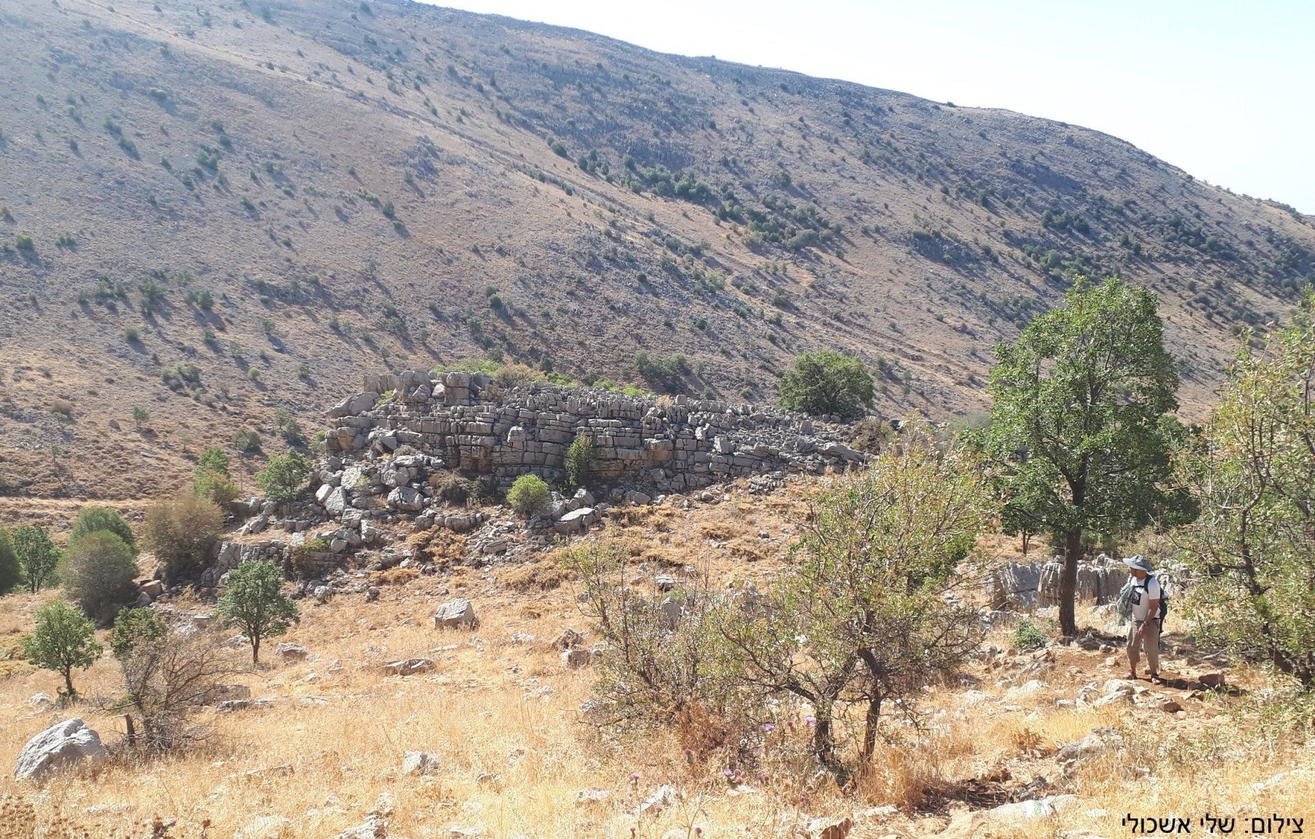 Stone ruins on a hillside, with sparse vegetation. A person stands near trees in the foreground.