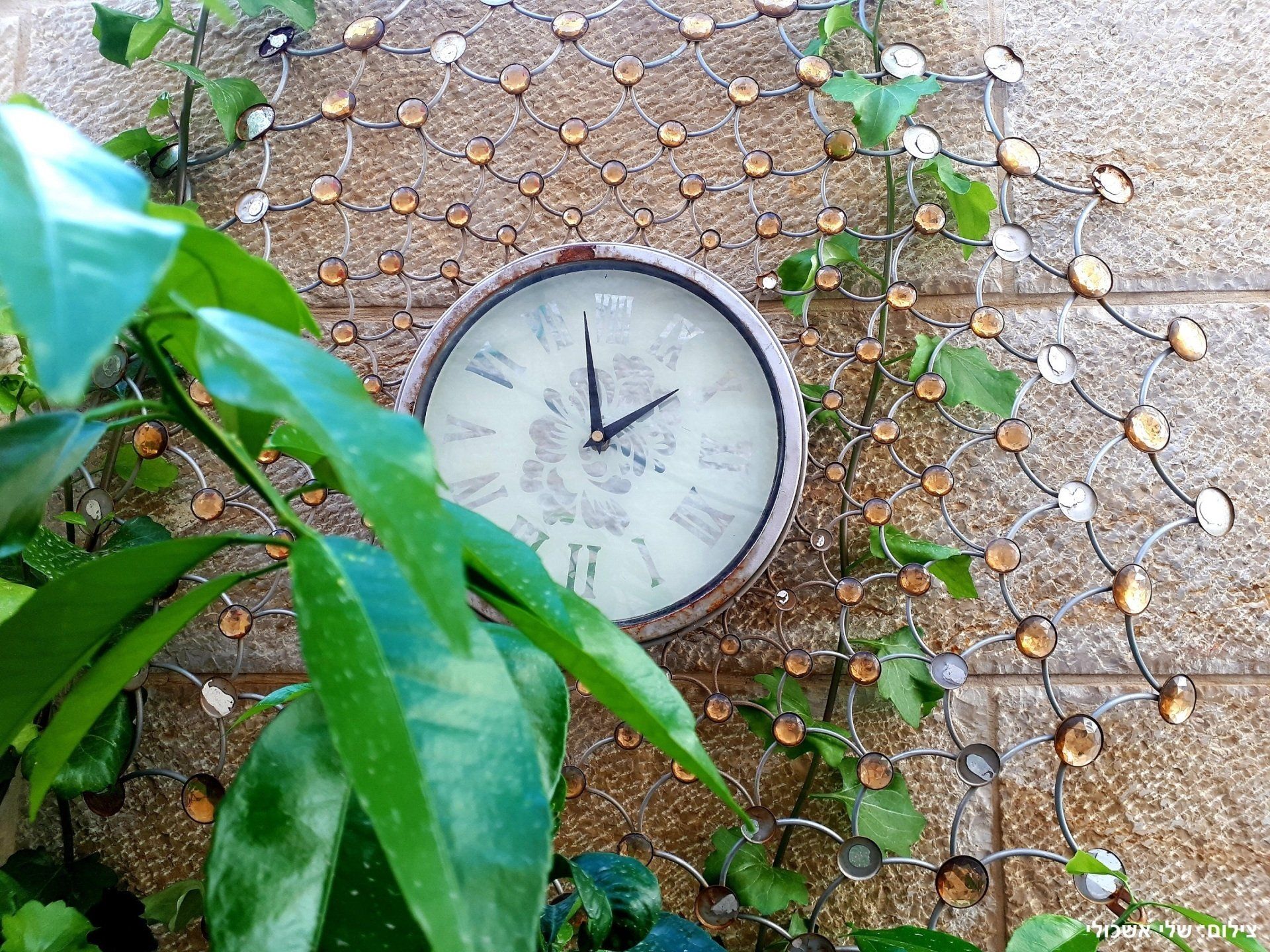 Clock on textured wall, surrounded by vines and decorative wire with amber accents.