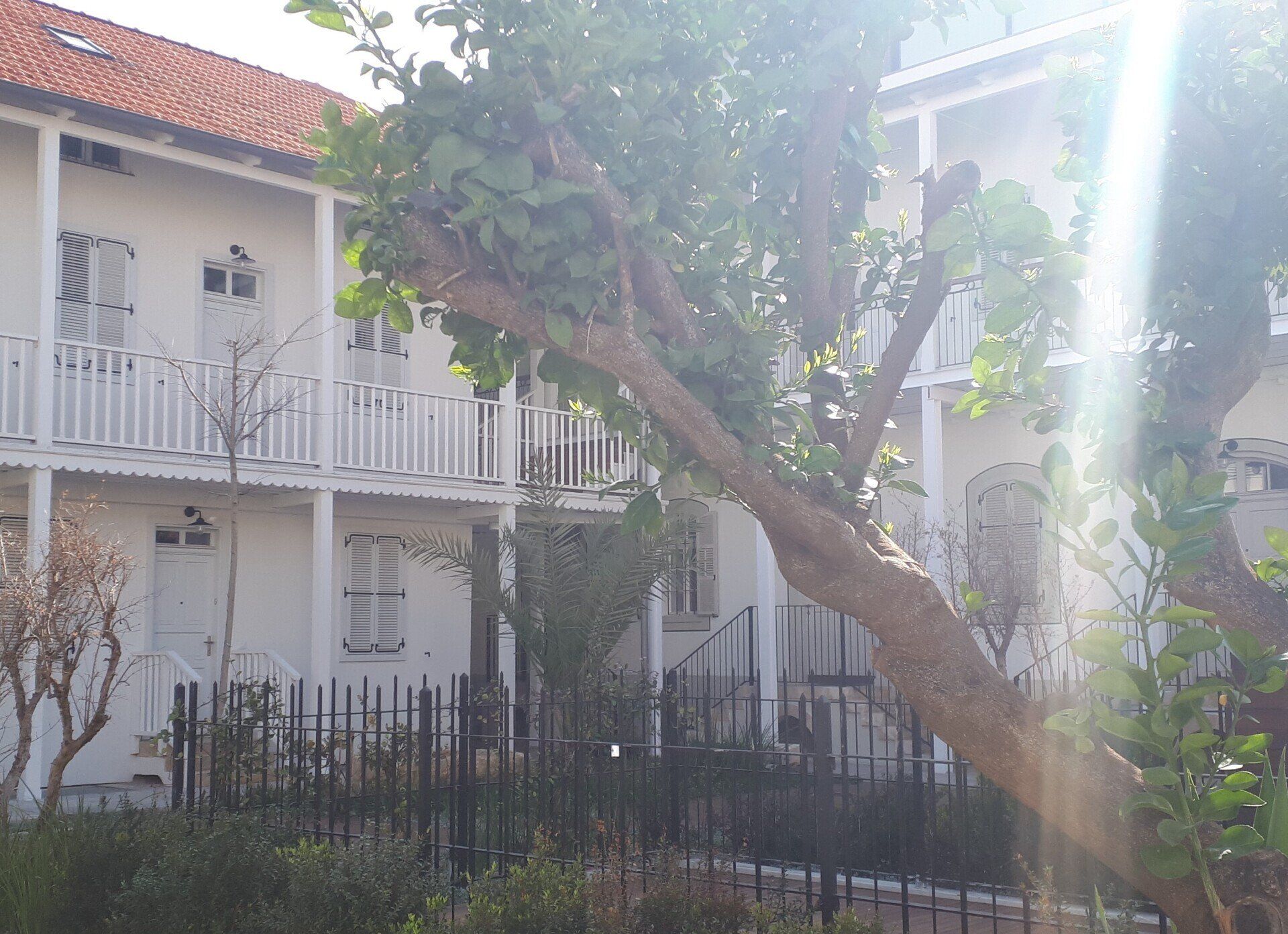 White buildings with balconies and red tile roofs, behind a black fence and tree.