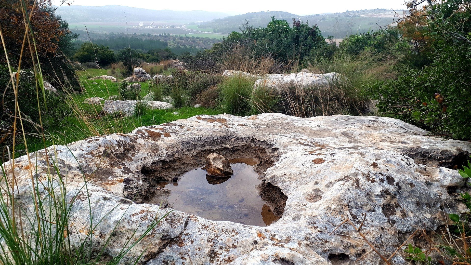 Rocky terrain with a puddle in a weathered depression, overlooking a green valley.