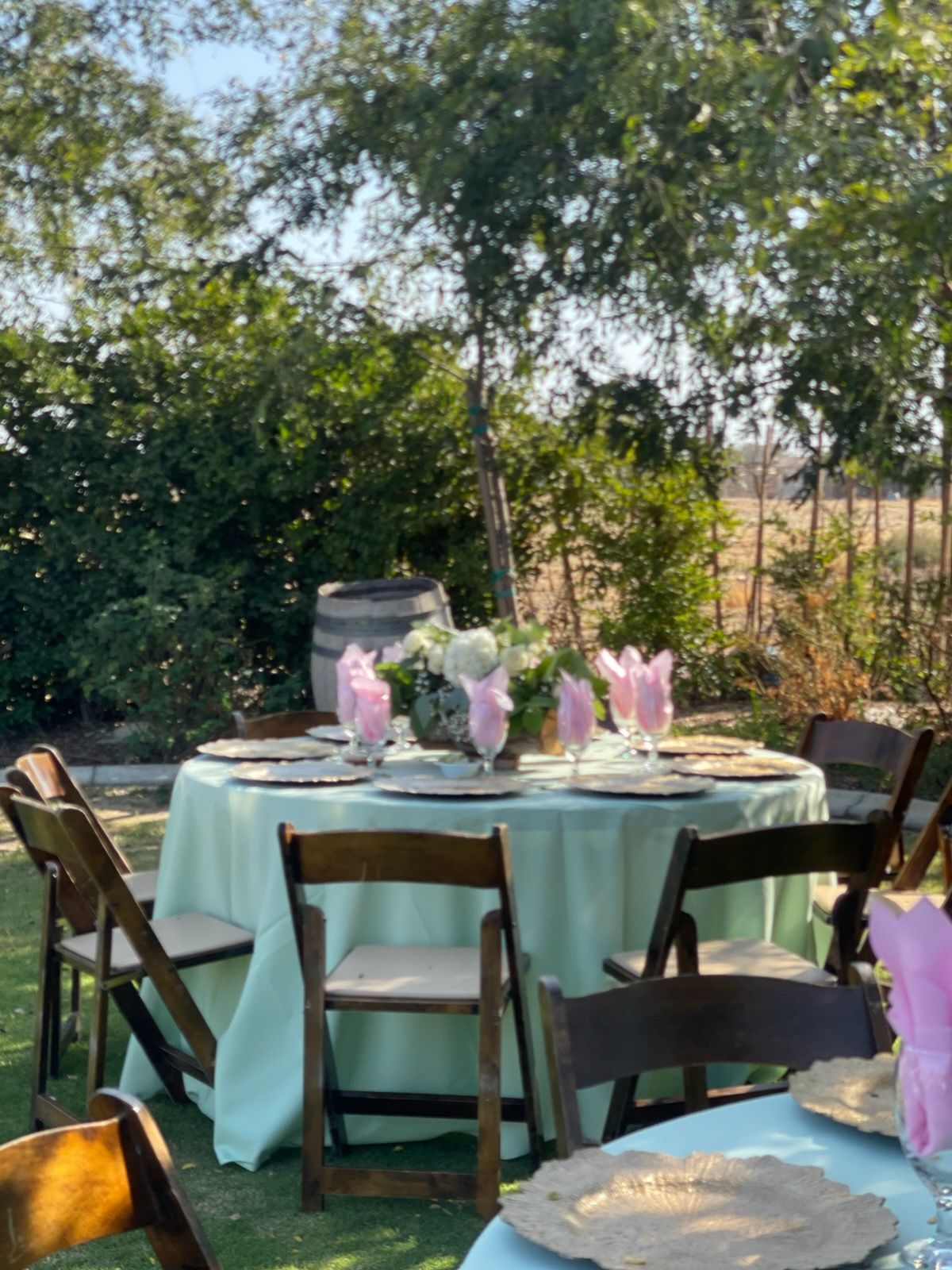 Outdoor table set with mint tablecloth and pink floral centerpieces in a garden setting