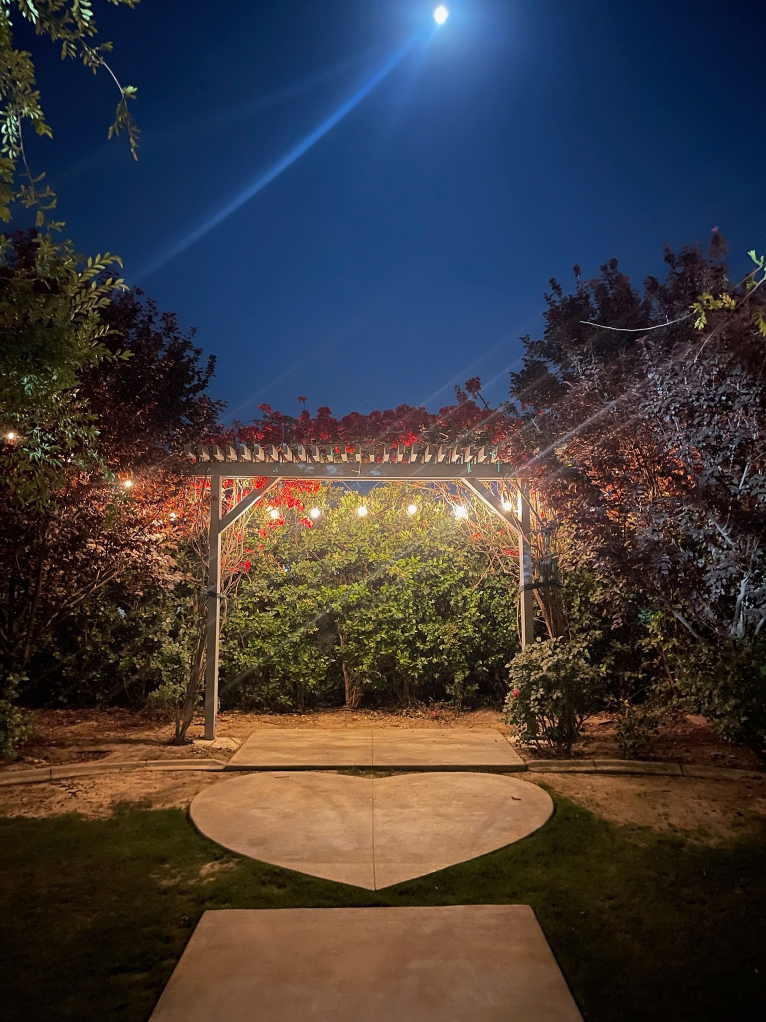 Night garden path with a lit trellis, flowering bushes, and a moonlit sky.
