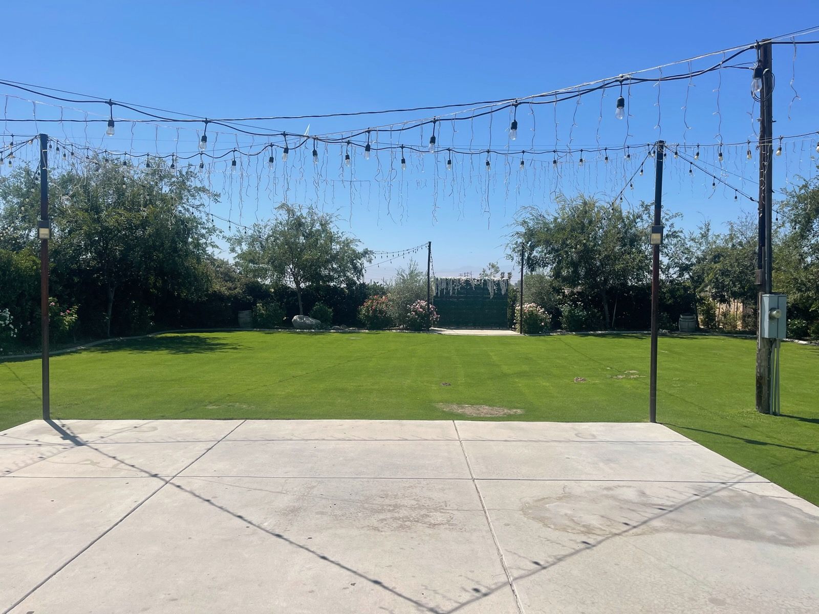 Sunny backyard with green lawn, concrete patio, and string lights under a clear blue sky