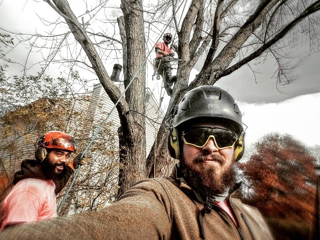 Tree cutters