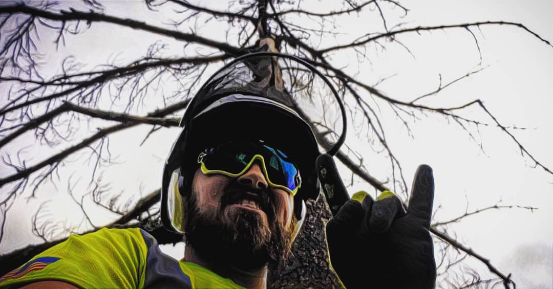 Tree cutters