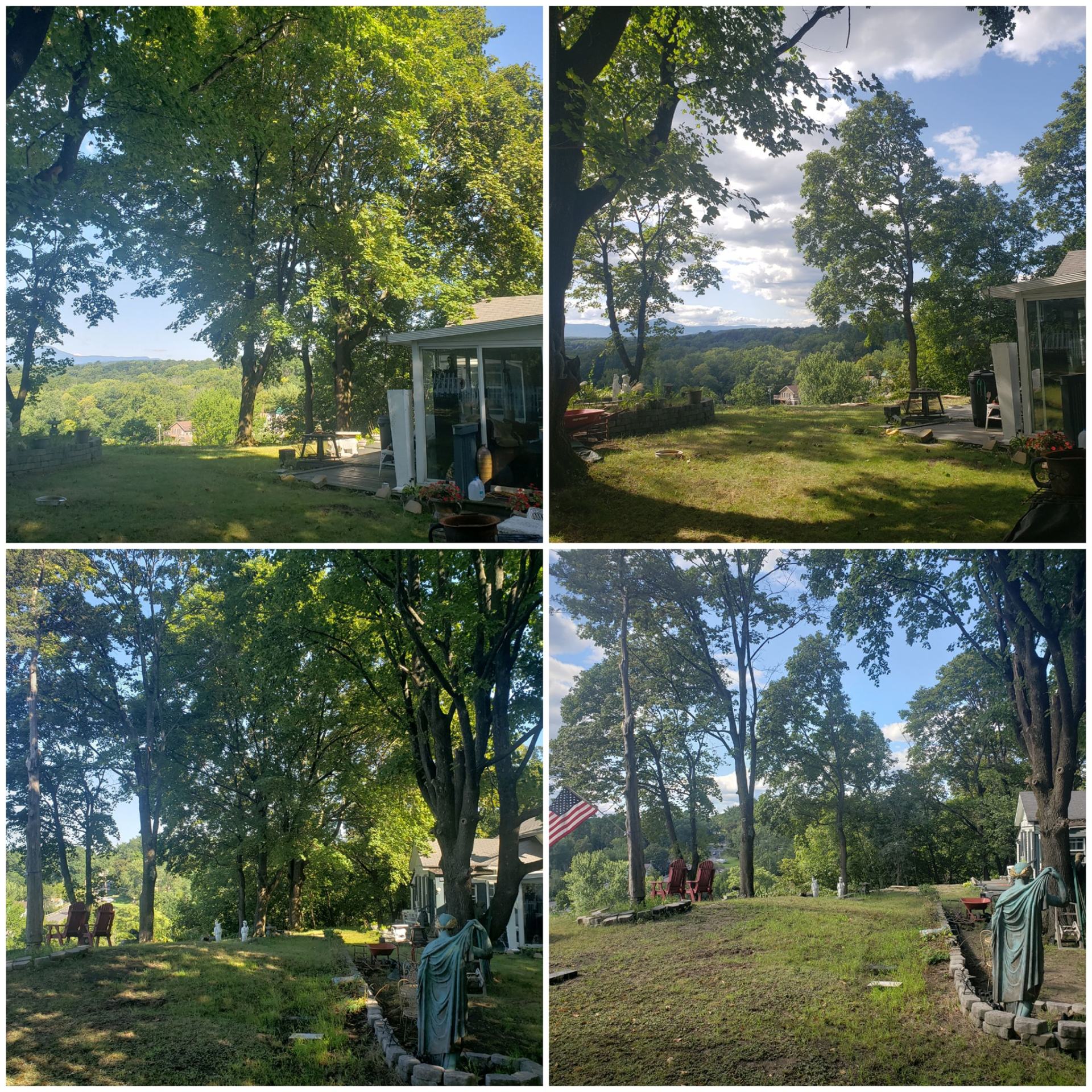 Tree picture