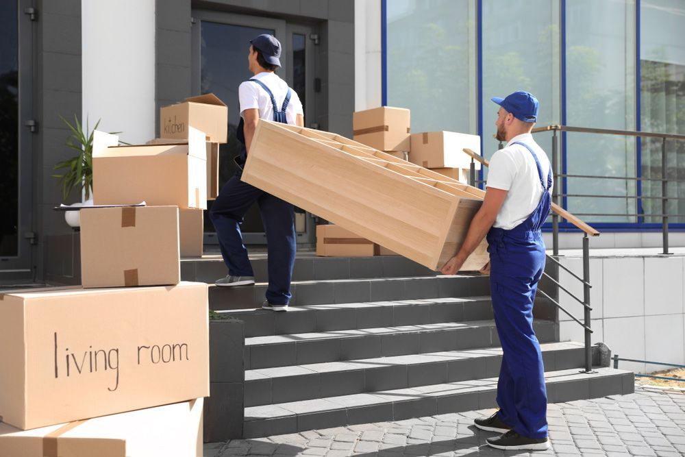 Two Movers Are Carrying a Couch Up the Stairs of a Building — Bondi Removals and Taxi Trucks in Bondi Junction, NSW