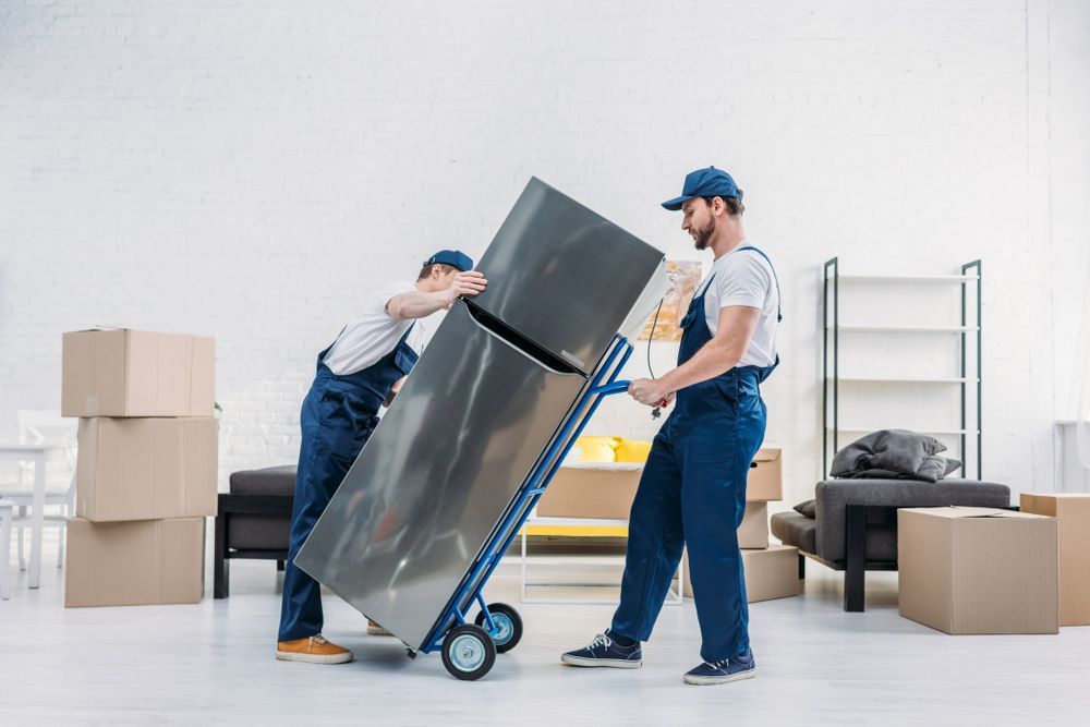 Two Men Are Carrying a Refrigerator on a Dolly — Bondi Removals and Taxi Trucks In Dover Heights, NSW