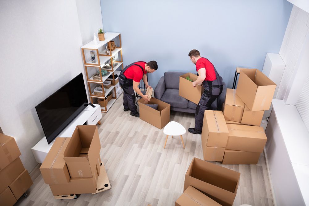 Two Men Are Moving Boxes in a Living Room — Bondi Removals and Taxi Trucks In Coogee, NSW