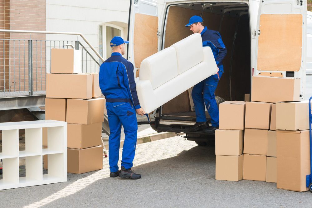 Two Men Are Loading a Couch Into a Van — Bondi Removals and Taxi Trucks In Kingsford, NSW