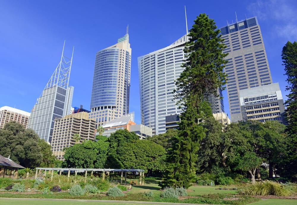 A Park With Tall Buildings in the Background and Trees in the Foreground — Bondi Removals and Taxi Trucks in Bondi, NSW