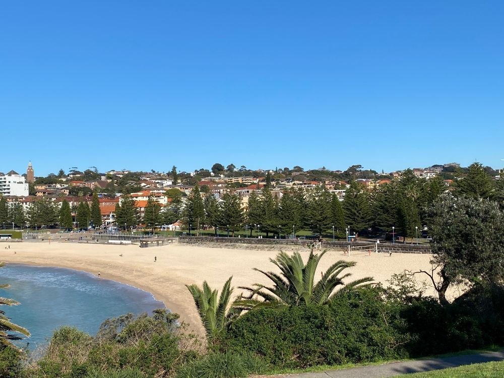 A Beach With Palm Trees and a City in the Background — Bondi Removals and Taxi Trucks in Coogee, NSW