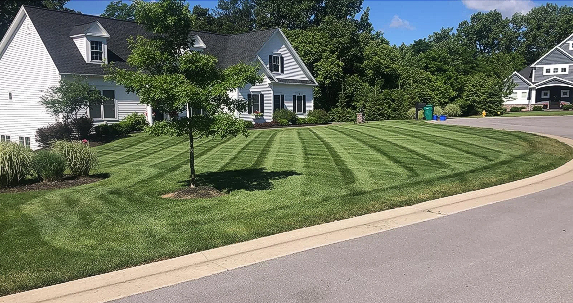 Well-manicured lawn with striped grass in front of a white house with a dark roof.