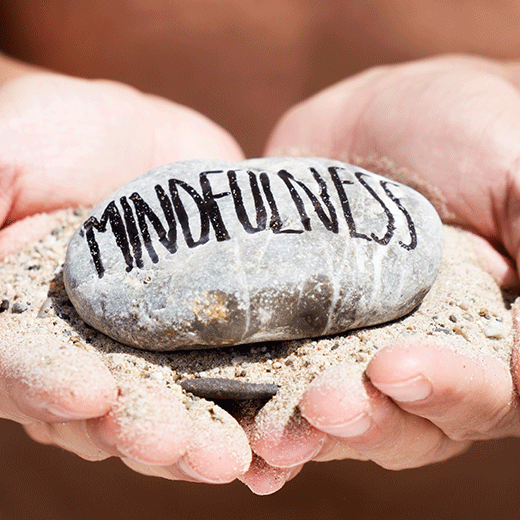mindfulness training course in Auckland