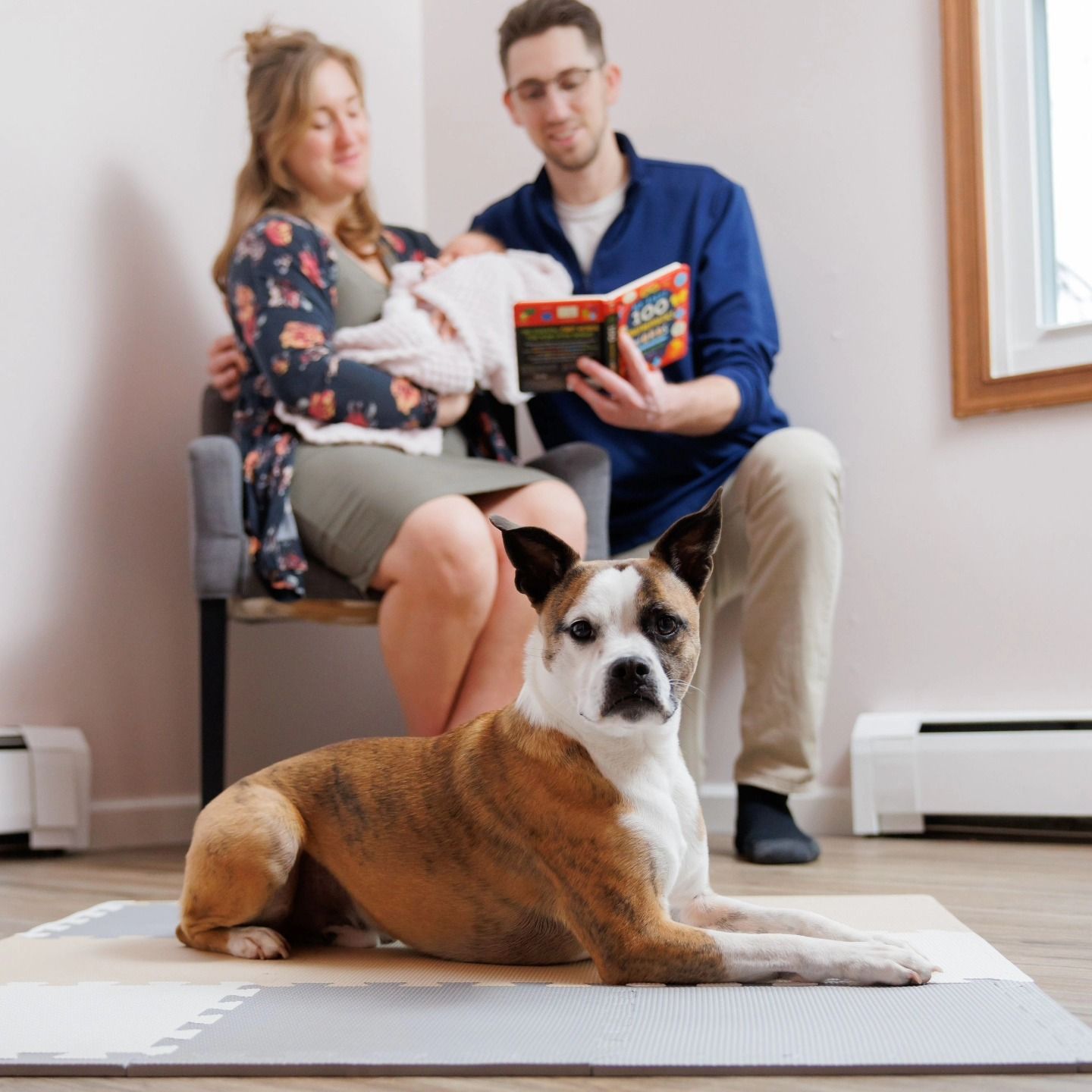 Man and woman reading on a couch with a dog resting on a rug in a bright living room