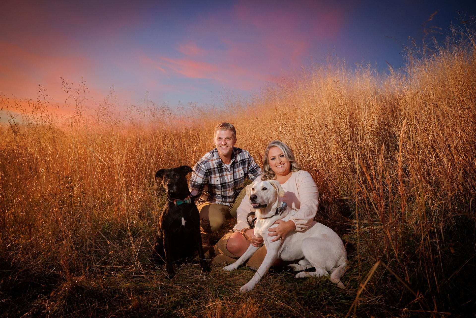 Family with three dogs sitting in tall golden grass at sunset