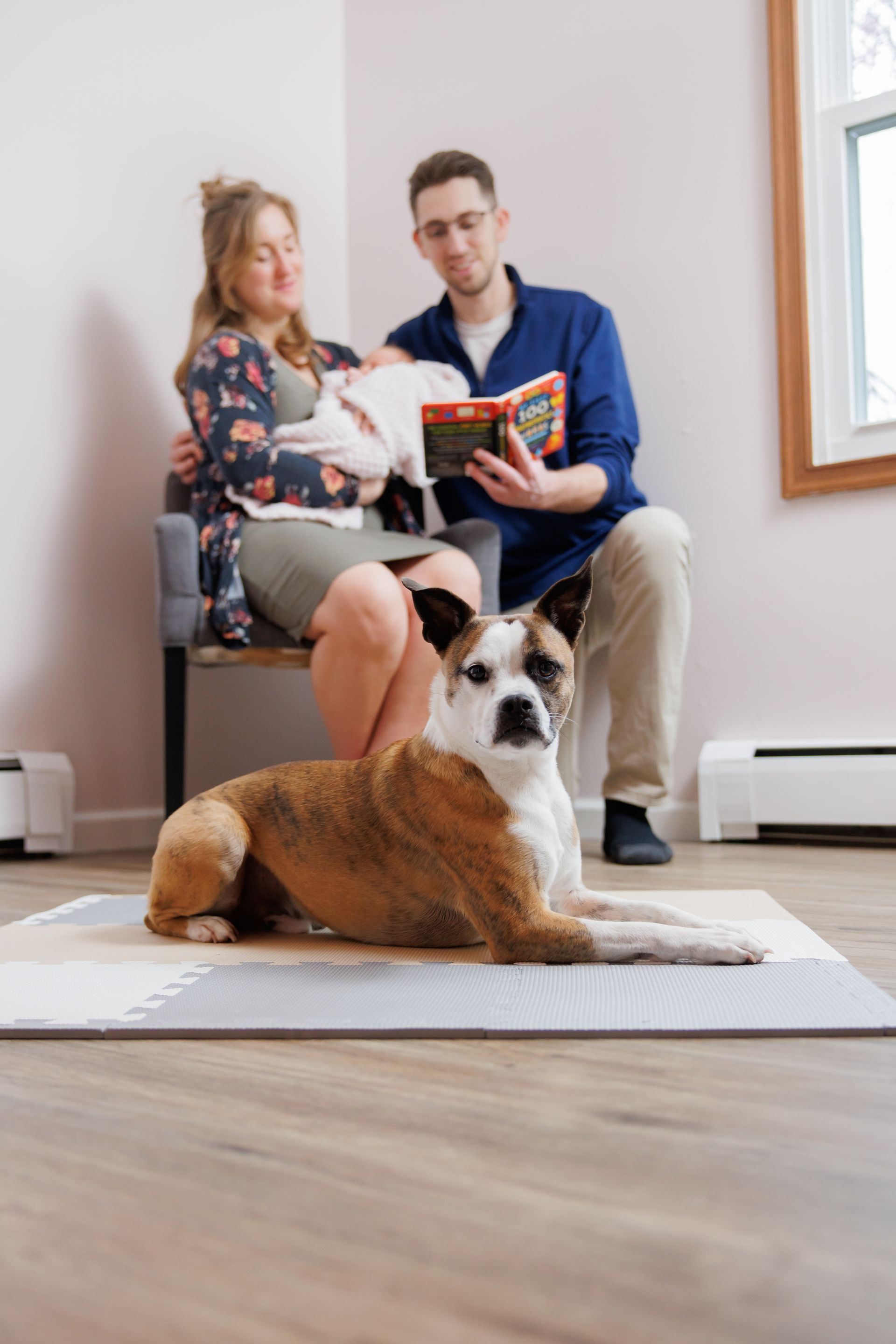 Parents reading with a child while a dog lies on the floor in a bright living room