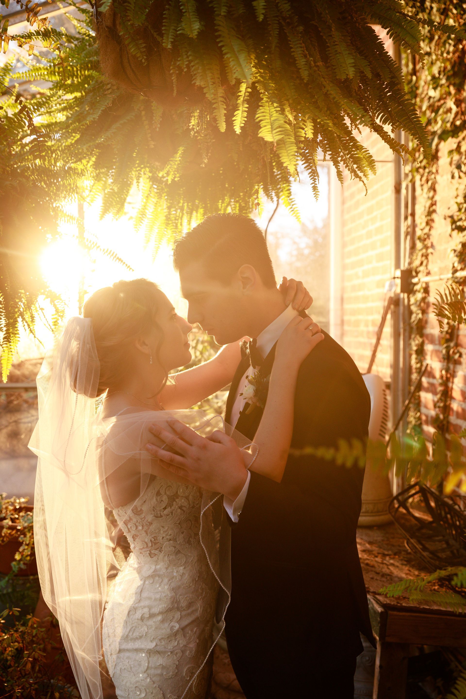 Bride and groom sharing a kiss in a sunlit garden ceremony under palm trees