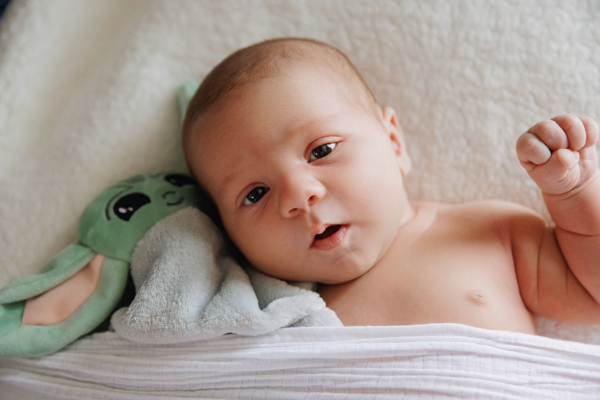 Baby lying on a blanket beside a green stuffed toy, looking at the camera with a raised hand.