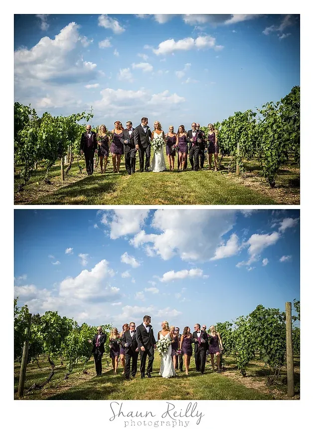 Two vineyard group photos under a blue sky, with people posing on a grassy path.