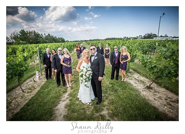 Wedding party posing in a vineyard with the bride and groom centered under a cloudy sky