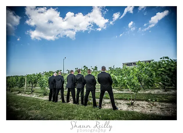 Five people in dark suits stand in a vineyard under a blue, cloud-filled sky.