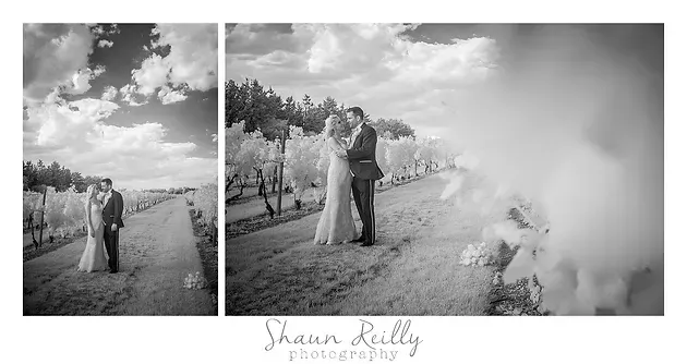Bride and groom kiss outdoors as smoke from a celebratory cannon swirls around them