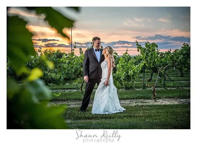 Bride and groom posing in a vineyard at sunset, with green vines and colorful sky behind them