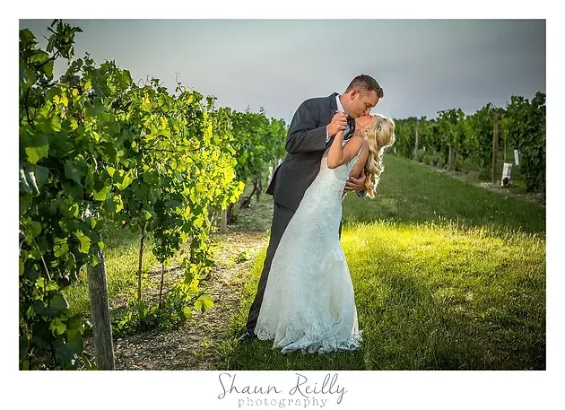 Bride and groom kiss in a sunlit vineyard, with green vines and grass around them