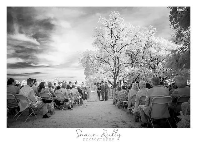 Outdoor wedding ceremony with seated guests under trees on a cloudy day