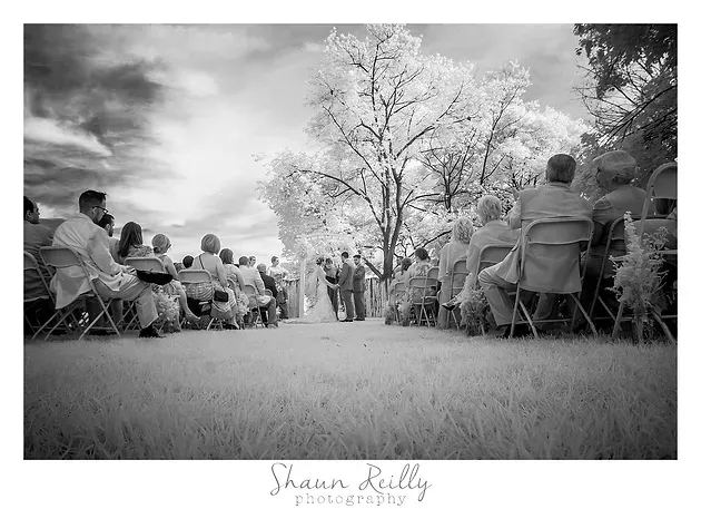Black-and-white outdoor wedding ceremony with guests seated along a grassy aisle under trees