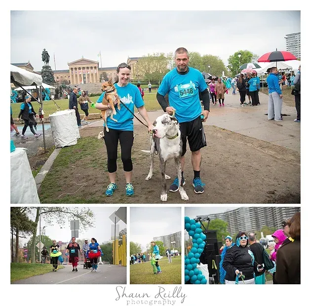 Volunteers in blue shirts walk a white dog at a rainy outdoor event with a crowd and tents behind them