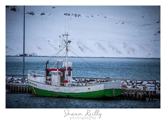 Green-and-white fishing boat docked by a snowy harbor under an overcast sky