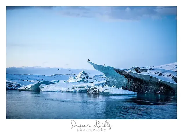 Snowy arctic seascape with floating icebergs under a pale blue sky.