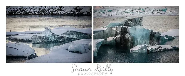 Icebergs floating in a gray, calm ocean with a snowy shoreline in the background
