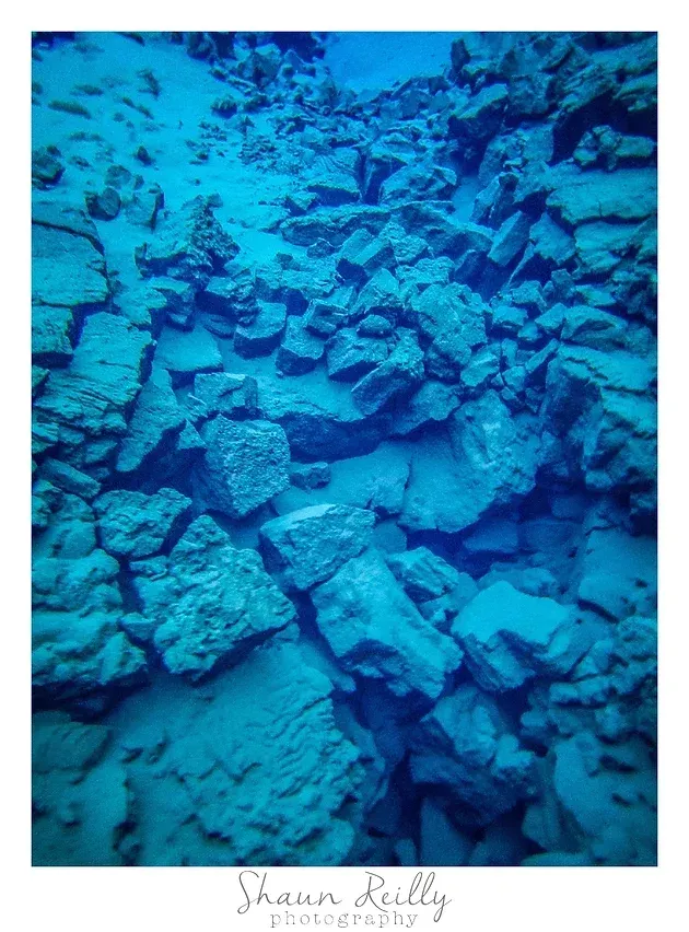 Blue-tinted underwater rocky seafloor with scattered stones and coral-like textures