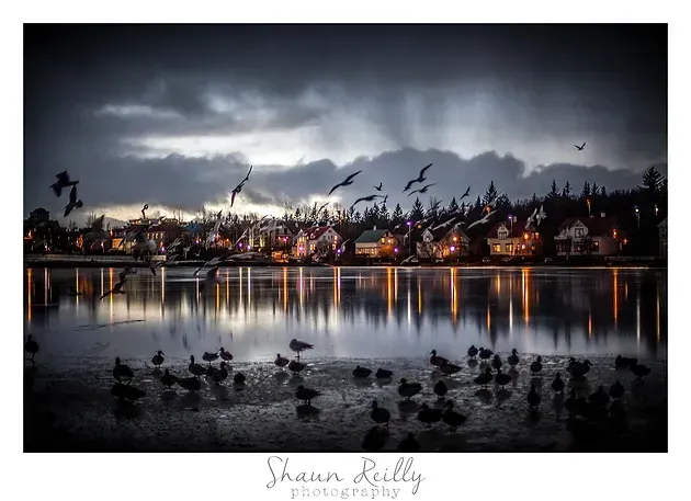 Dark waterfront town at night with glowing lights, reflected in still water under a cloudy sky and flying birds