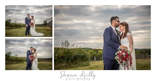 Wedding couple posing outdoors in formal attire, embracing under a cloudy sky
