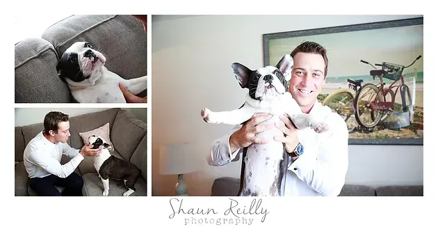 Man holding a small black-and-white dog in a bright room, with two smaller photos on the left.