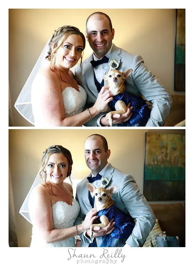 Wedding couple holding a small dog in two posed portraits, bride in white and groom in gray suit