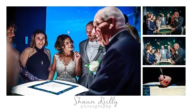 Guests watch a cake being cut at a formal celebration, with a collage of event photos on the right.