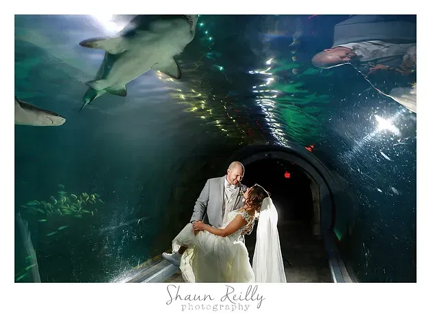Couple in wedding attire posing in a lit aquarium tunnel with sharks overhead