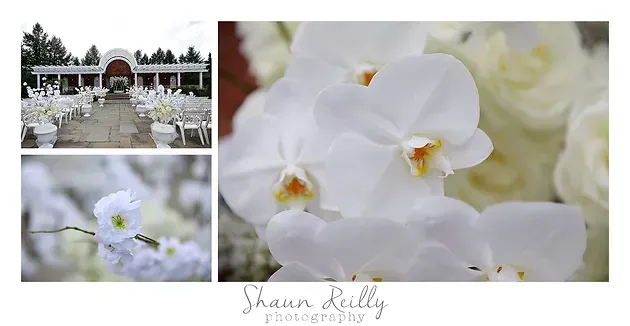 White floral wedding table decor with an arch and close-up white orchids