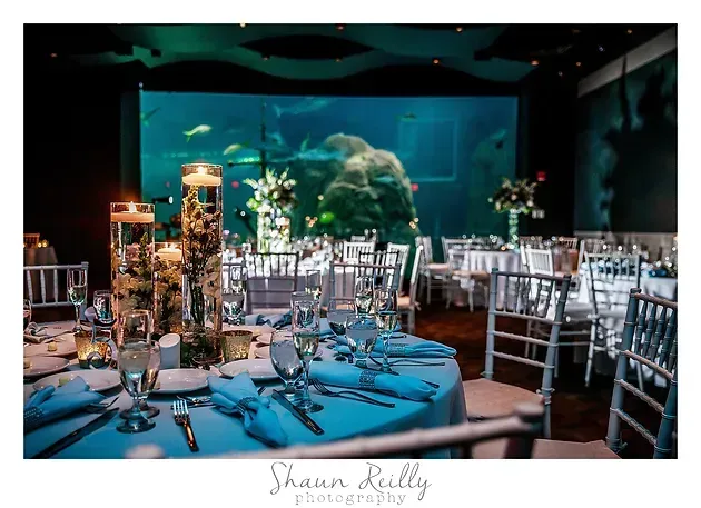 Elegant banquet tables with silver chairs, candles, and teal lighting in a formal event venue