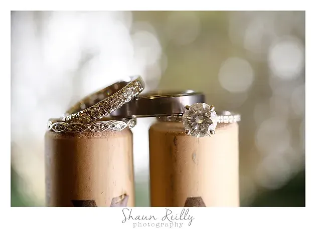 Three champagne flutes topped with gold wedding rings on a softly blurred background