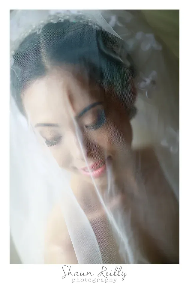 Soft-focus portrait of a smiling bride behind a sheer veil, with her head gently bowed