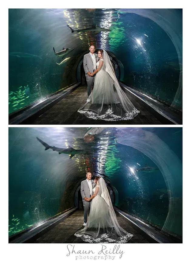 Couple in wedding attire posing in an underwater tunnel with a diver swimming behind them.
