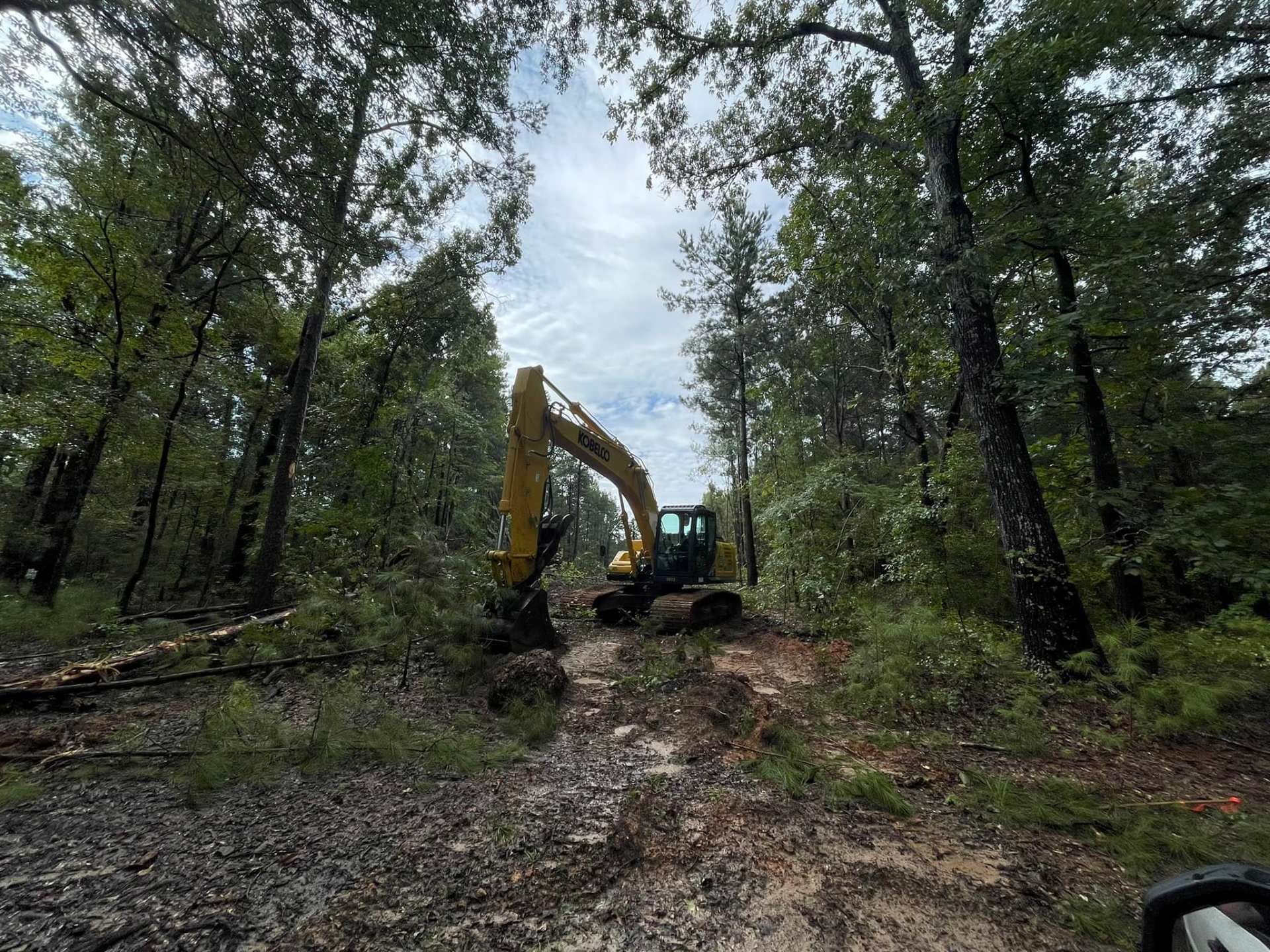 A yellow excavator works in a wooded area, clearing trees and underbrush on a muddy path under a cloudy sky.